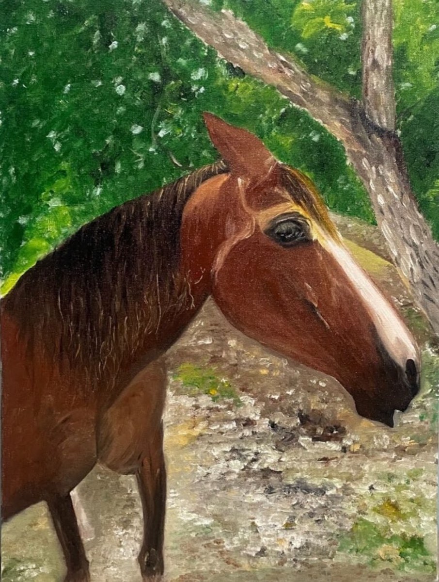 Pintura Cavalo